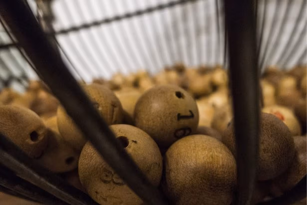 Resultado da Lotofácil 3308: prêmio acumula e vai a R$ 5 mi. Foto: Pixabay