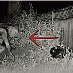 Aliens: vídeo assustador viraliza nos Estados Unidos; saiba o que aconteceu em Las Vegas. Foto: Reprodução