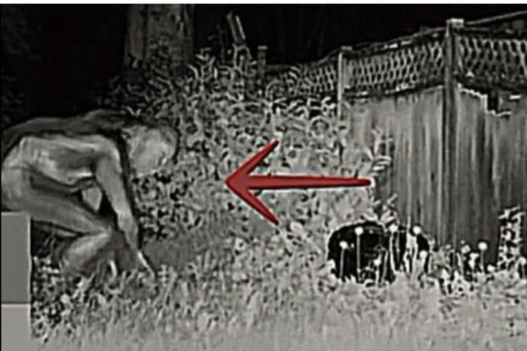 Aliens: vídeo assustador viraliza nos Estados Unidos; saiba o que aconteceu em Las Vegas. Foto: Reprodução