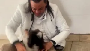 Frank Aguiar perde arara de estimação, pede ajuda dos fãs e comove web