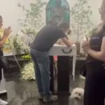 Estopinha: tutor exibe imagens do velório da cachorrinha influencer e comove web; confira