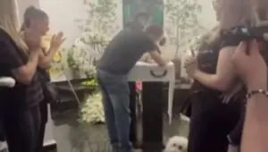 Estopinha: tutor exibe imagens do velório da cachorrinha influencer e comove web; confira