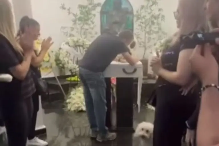 Estopinha: tutor exibe imagens do velório da cachorrinha influencer e comove web; confira