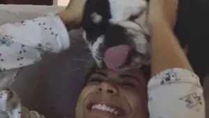 Lexa comove web após mort4 de um dos cachorros de estimação; confira