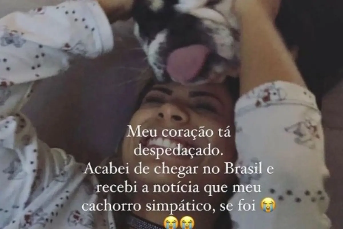 Lexa comove web após mort4 de um dos cachorros de estimação; confira Lexa comove web após mort4 de um dos cachorros de estimação; confira