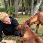 Ana Hickmann, em meio à separação, valoriza pets em casa; confira. Foto: Instagram