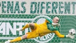 Tirou onda! Marcos goleiro provoca Felipe Neto nas redes sociais; confira