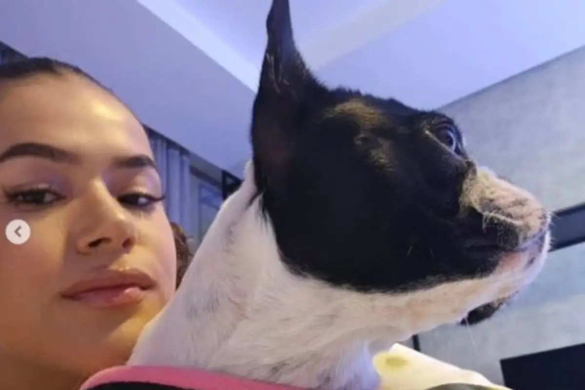 Maisa Silva faz mistério sobre próxima viagem e desafia fãs Maisa Silva faz mistério sobre próxima viagem e desafia fãs