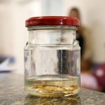 São José registra alta de 28,45% nos acidentes com escorpiões. Imagem: Flavio Pereira/CMSJC