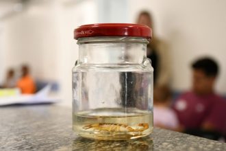 São José registra alta de 28,45% nos acidentes com escorpiões. Imagem: Flavio Pereira/CMSJC