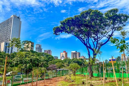 Ações ambientais mobilizam 82 mil pessoas em São Paulo. Imagem: Edson Lopes Junior Secom