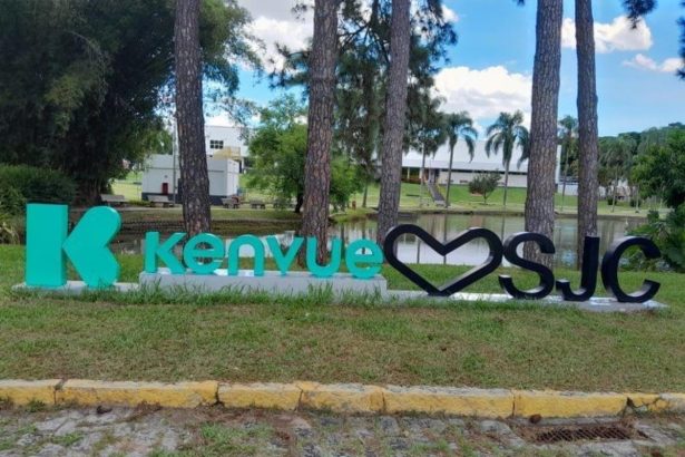 Felino silvestre aparece em área de empresa em São José e preocupa funcionário. Imagem: Divulgação