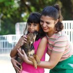 São José anuncia feira de adoção e vacinação no fim de semana. Imagem: Claudio Vieira/PMSJC