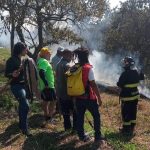 Incêndios ambientais: SP intensifica ações preventivas no estado. Imagem: Divulgação Prefeitura de SP