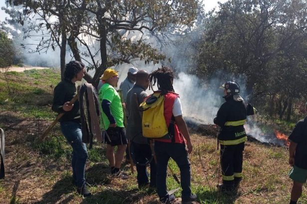 Incêndios ambientais: SP intensifica ações preventivas no estado. Imagem: Divulgação Prefeitura de SP