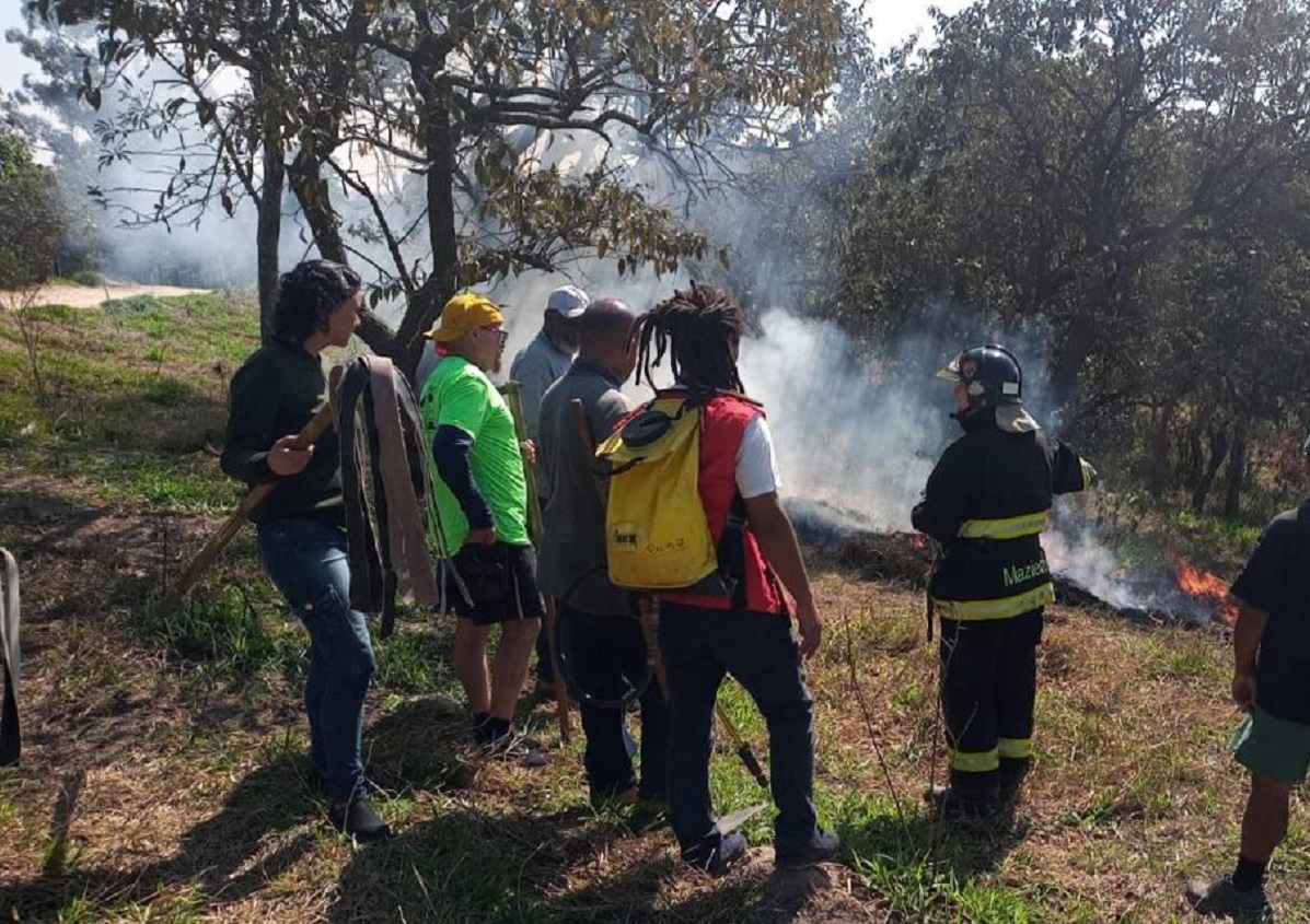 Incêndios ambientais: SP intensifica ações preventivas no estado. Imagem: Divulgação Prefeitura de SP