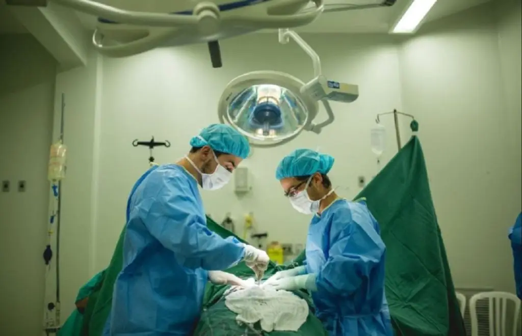 Transplantes aumentam até 136% em São Paulo. Imagem: Governo de SP