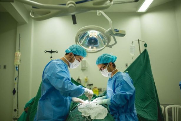 Transplantes aumentam até 136% em São Paulo. Imagem: Governo de SP