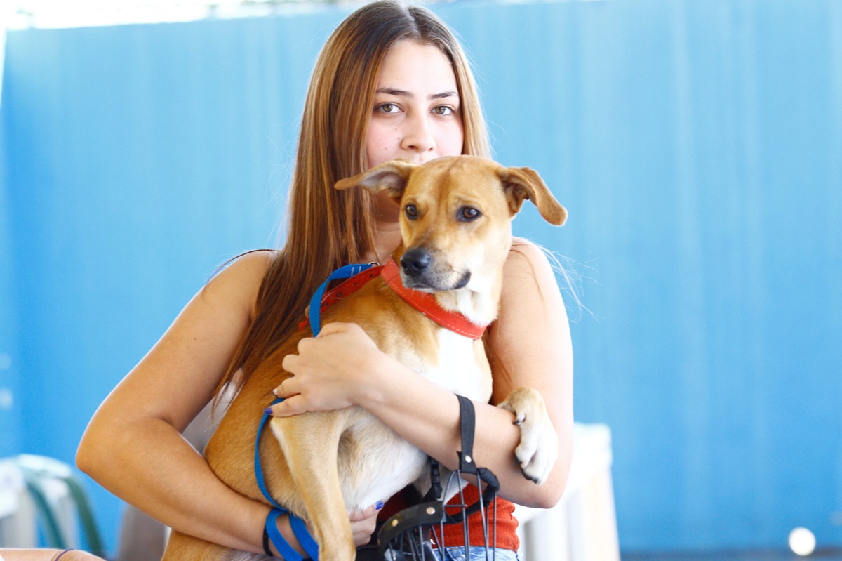 Feira de adoção: São José tem 76 animais disponíveis. Imagem: Claudio Vieira/PMSJC