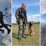 Coyote, o cachorro da PM de SP que salta de paraquedas. Imagem: Divulgação PM