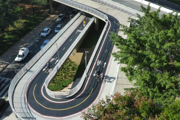 Ações ambientais mobilizam 82 mil pessoas em São Paulo. Imagem: Prefeitura de São Paulo