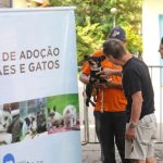 Feira de Adoção tem 70 pets disponíveis em São José. Imagem: Claudio Vieira/PMSJC
