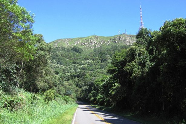 São Paulo restaura 20 mil campos de futebol na Mata Atlântica. Imagem: Governo de SP