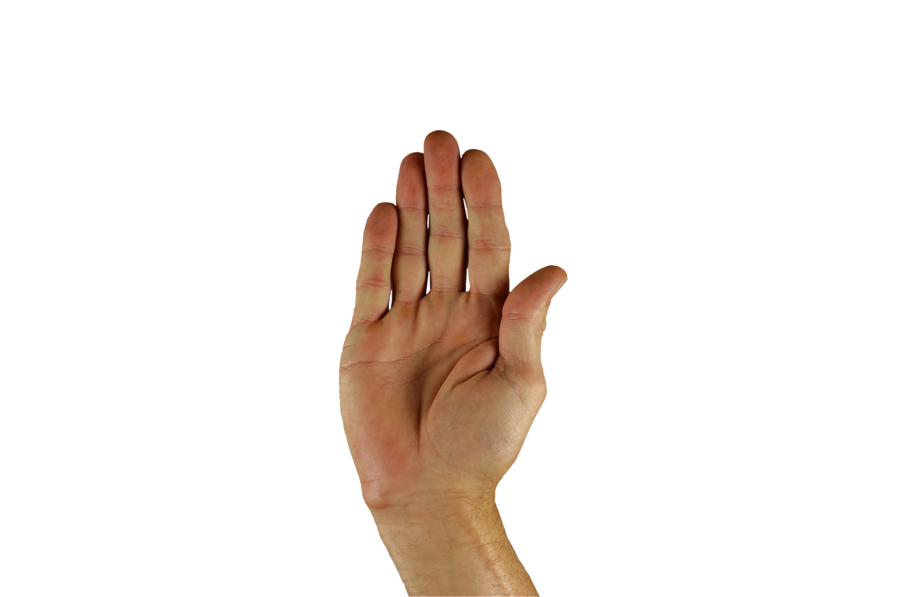 São José anuncia curso gratuito de libras e abre inscrições. Imagem: Pixabay