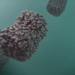 São Paulo reduz casos de HIV em 53% no período de 8 anos. Imagem: Pixabay