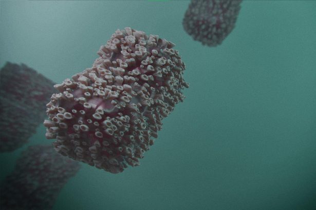 São Paulo reduz casos de HIV em 53% no período de 8 anos. Imagem: Pixabay