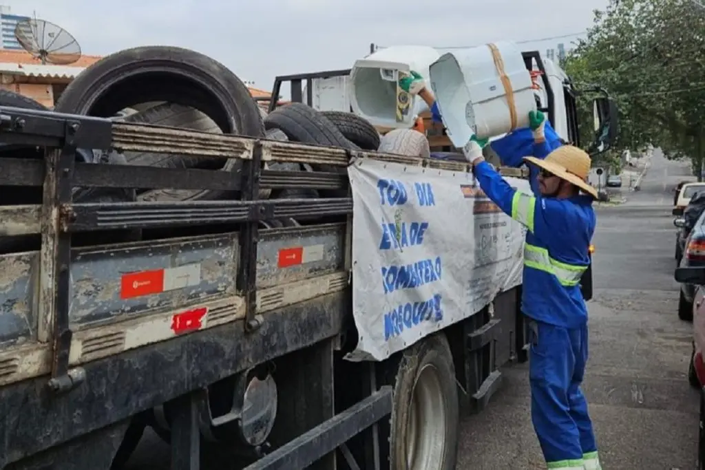 Operação Casa Lima recolhe 1,7 tonelada de material em combate à dengue. Imagem: Divulgação