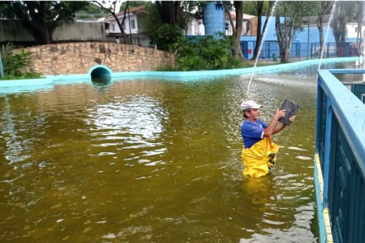 Parque Santos Dumont aposta em tecnologia para manter lago despoluído. Imagem: Divulgação PMSJC