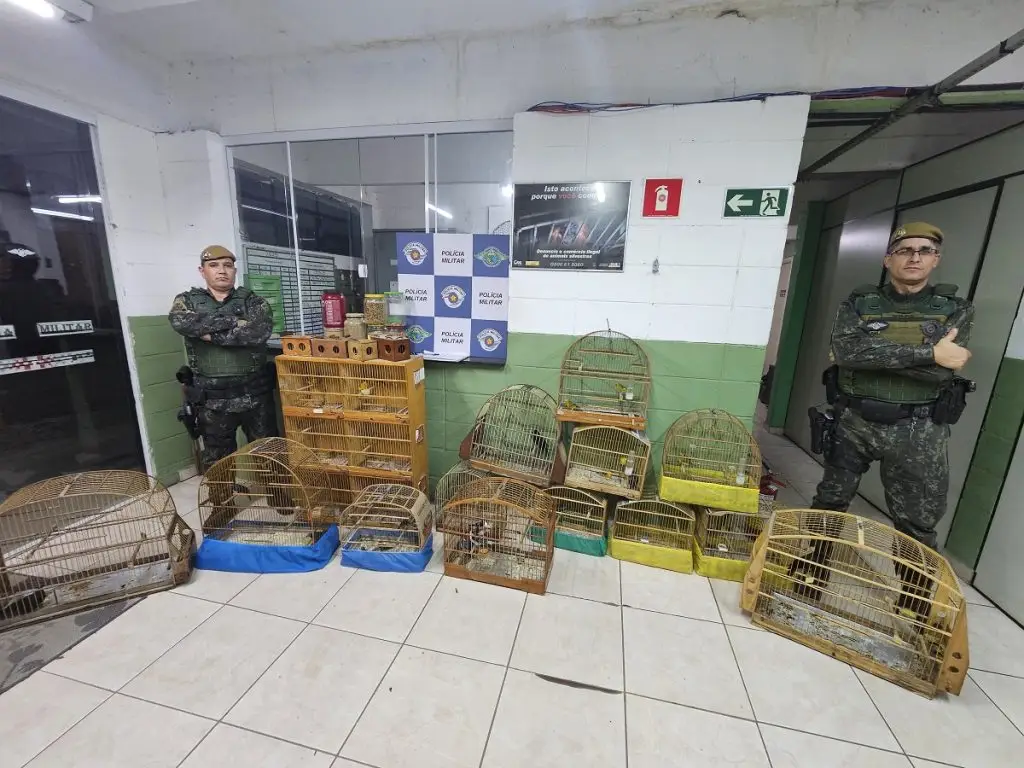 Animais silvestres são resgatados em SP; dono leva multa de R$ 37 mil. Imagem: Governo de SP