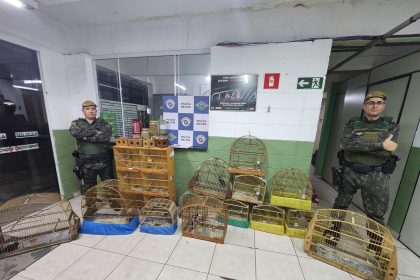 Animais silvestres são resgatados em SP; dono leva multa de R$ 37 mil. Imagem: Governo de SP