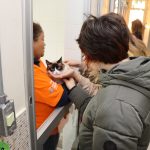 Adoção de animais: 11 'idosos' ganham novo lar em SP. Imagem; Renato Pinheiro/Secom