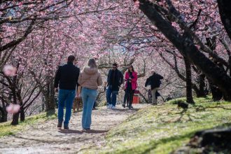 Festa da Cerejeira é atração em Campos do Jordão pelo 54º ano seguido. Imagem: Cleverson Nunes/Divulgação