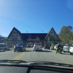 Filhote de Border Collie é roubado em SP e encontrado em Campos. Imagem: Marcos Eduardo Carvalho - diariosp.com.br Filhote de Border Collie é roubado em SP e encontrado em Campos. Imagem: Marcos Eduardo Carvalho