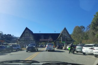 Filhote de Border Collie é roubado em SP e encontrado em Campos. Imagem: Marcos Eduardo Carvalho