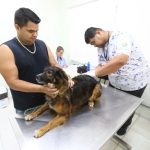 Feira de Adoção tem 70 pets disponíveis em São José. Imagem: Claudio Vieira/PMSJC