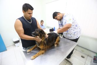 Feira de Adoção tem 70 pets disponíveis em São José. Imagem: Claudio Vieira/PMSJC