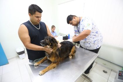 Feira de Adoção tem 70 pets disponíveis em São José. Imagem: Claudio Vieira/PMSJC