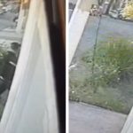 Roubo com 5 reféns acaba com suspeito preso em SP. Imagem: Reprodução