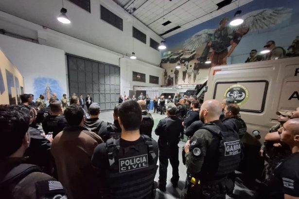 Operação Cineris desmantela quadrilha de golpes virtuais. Imagem: Governo de SP