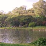 Parque do Ibirapuera promete reforçar segurança após ataques a mulheres. Imagem: Creative Commons