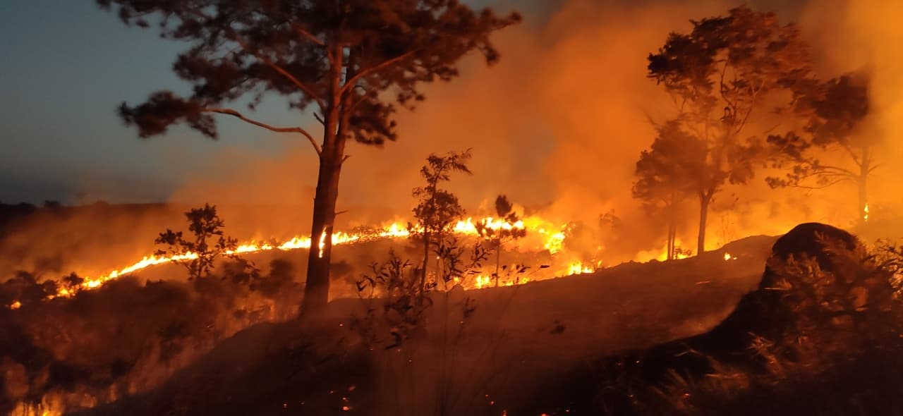 Focos de incêndio em SP caem 86% em agosto, diz Inpe. Imagem: Prefeitura de Taubaté