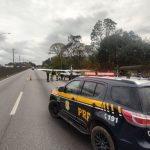 Monomotor faz pouso forçado e vira atração na estrada. Imagem: PRF