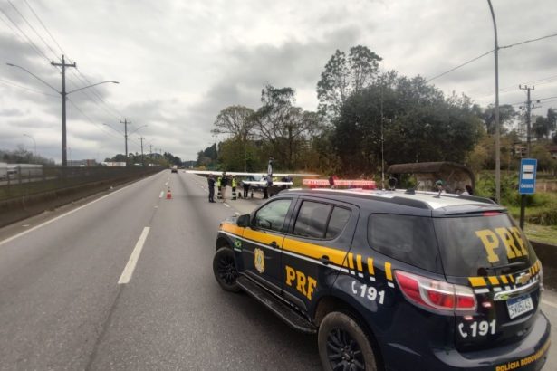 Monomotor faz pouso forçado e vira atração na estrada. Imagem: PRF