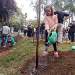 São Paulo chega a 70 mil árvores plantadas através de projeto. Imagem: JFDiorio Secom