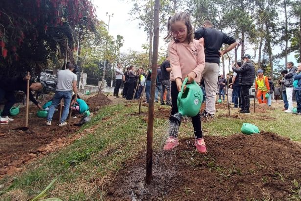 São Paulo chega a 70 mil árvores plantadas através de projeto. Imagem: JFDiorio Secom
