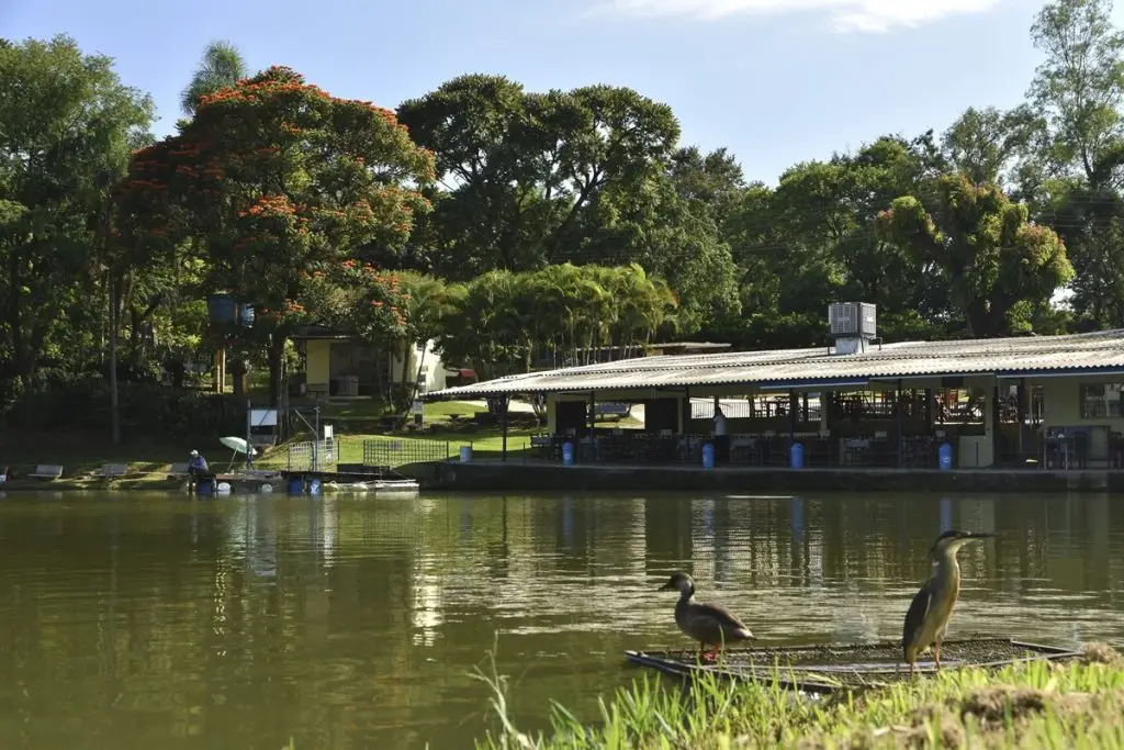 Cidades turísticas de SP esperam 86% de aumento no movimento nesta primavera. Imagem: Governo de SP